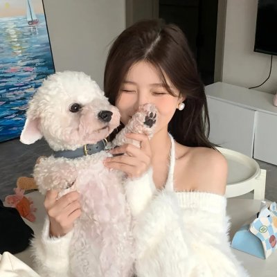 金陵御猫